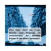 Wotan's Scheibenfrostschutz bis -20°C